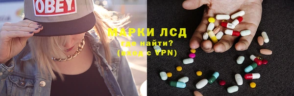 шишки Баксан