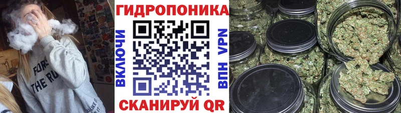 Бошки Шишки ГИДРОПОН  Баксан 